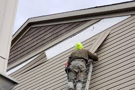 Best Siding Replacement  in Pierce, NE